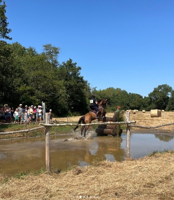 fête du cheval 2024 cso gué (2)