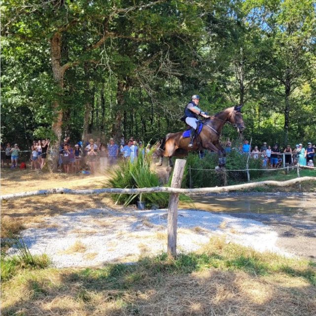 fête du cheval 2024 cso gué