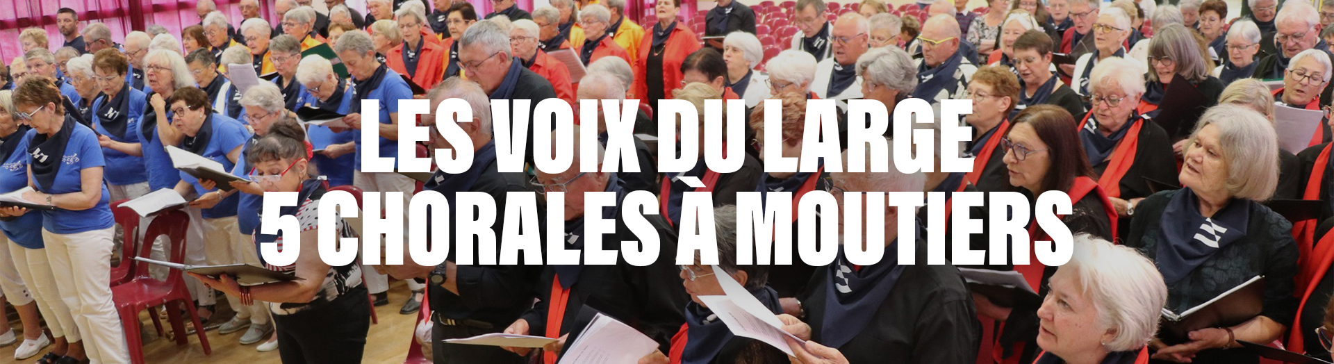 bannière sitemlm voixdularge