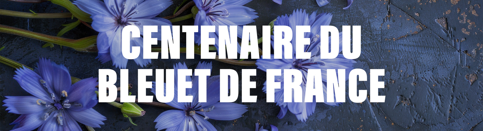 bannière sitemlm bleuet100ans