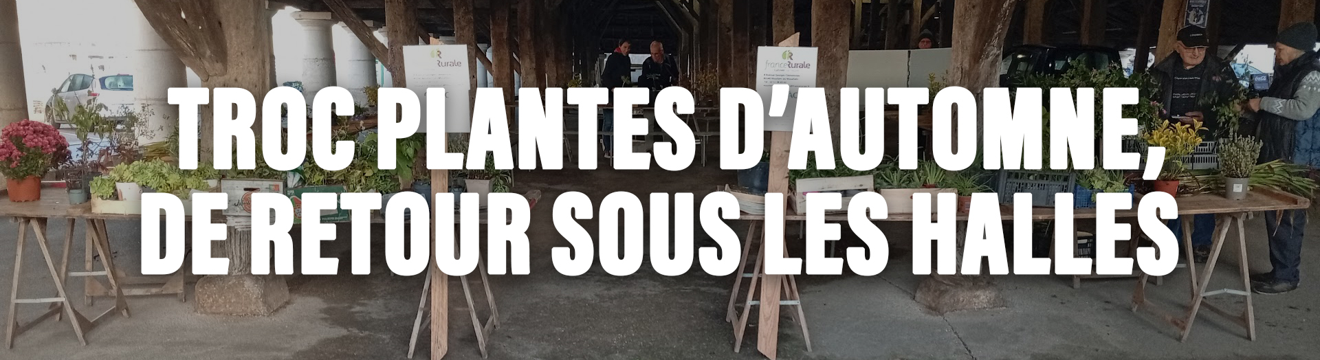 bannière sitemlm trocplantesautomne2025