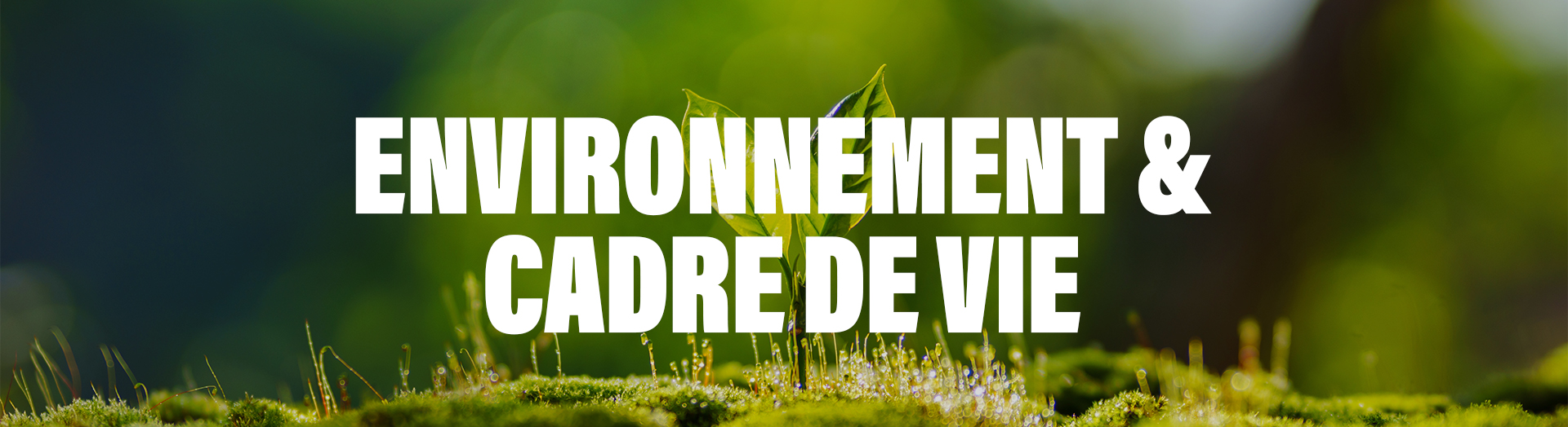 bannière sitemlm environnement