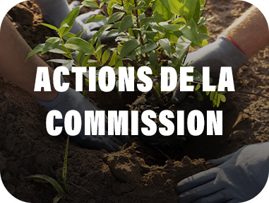 bouton environnement actionscommission